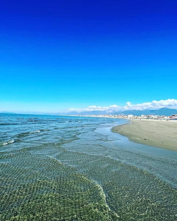 Hotel Pardini Viareggio Esterno foto